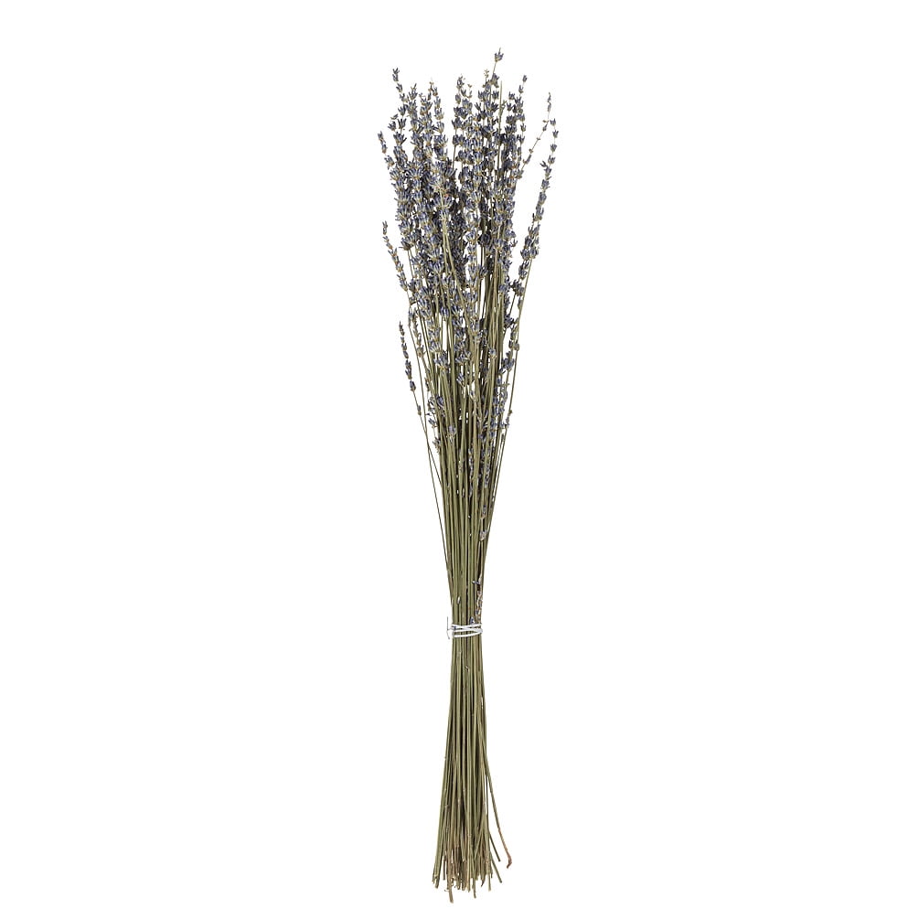 Set of 4 Lavender Stems