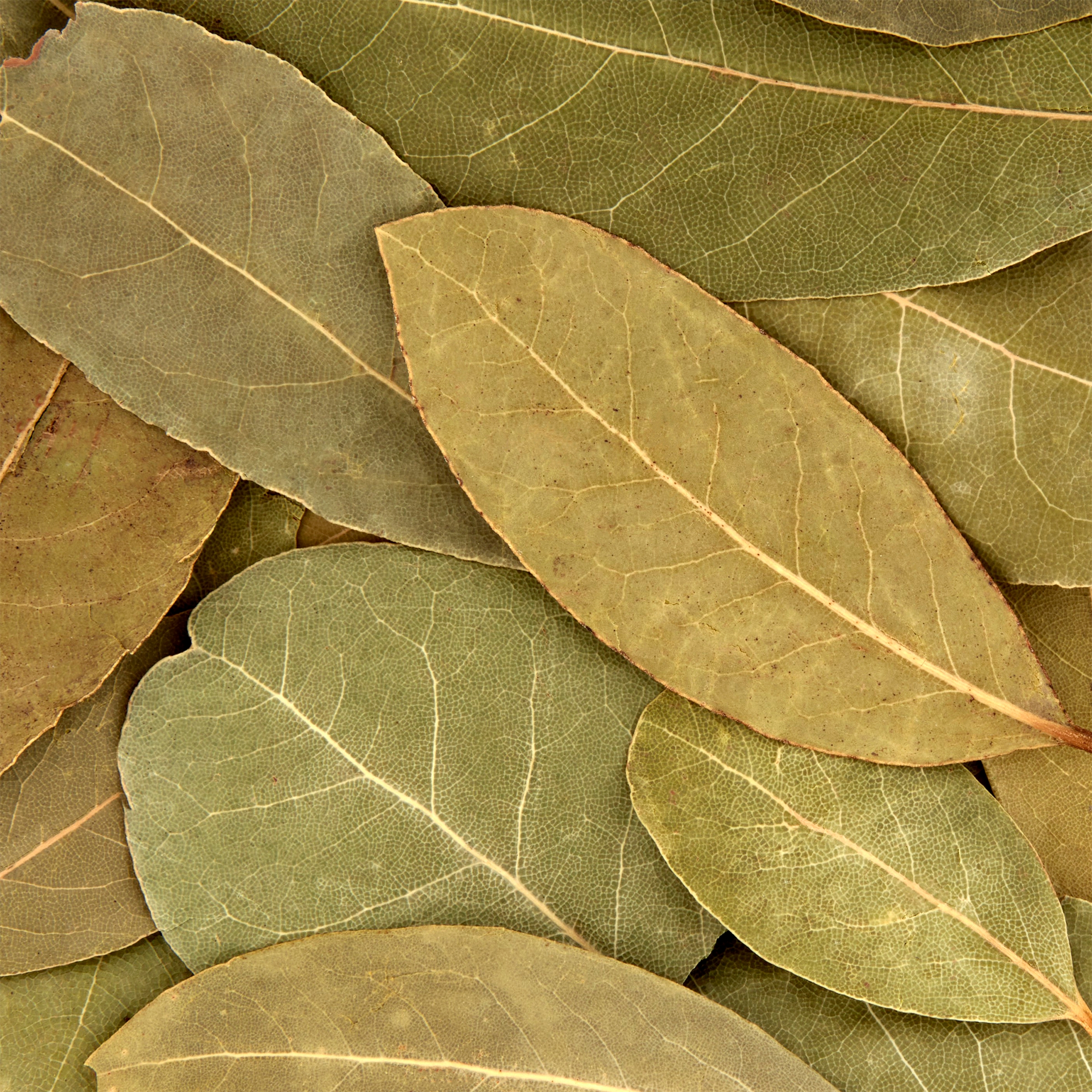 Great Value Bay Leaves, 0.12 oz - image 4 of 11