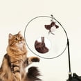 thumbnail image 6 of Interactive Chirping Bird Cat Toys with Flapping Wings, 2025 New Flying Bird Cats Toy, Flying Electric Sparrow Bird Hunting Cat Toy for Indoor Pets, 6 of 9