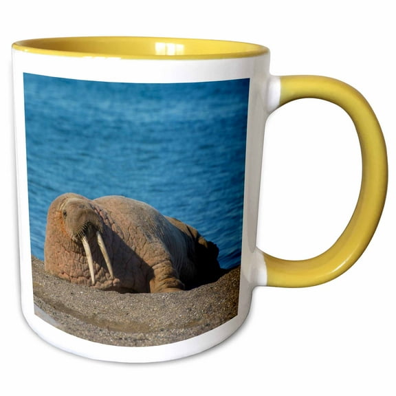 3drose, Norway. Svalbard. Atlantic Walrus Lazing on the Beach., 15oz Two-tone Yellow Mug