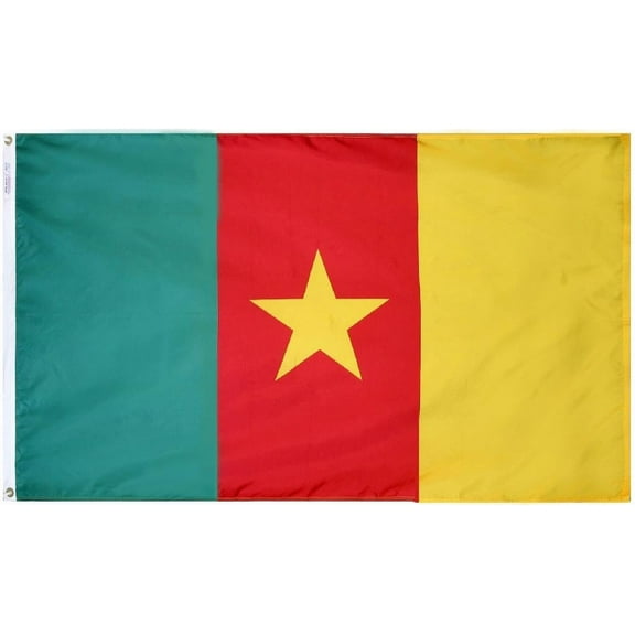 Cameroon - 2'X3' Nylon Flag