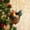 H, variant on BingTong Forest Animal Acorn Ornaments – Cozy Forest Christmas Ornament, 2026 New Woodland Creatures Christmas Ornaments, 2D Flat Pine Cone Animal Decoration for Home Decor D