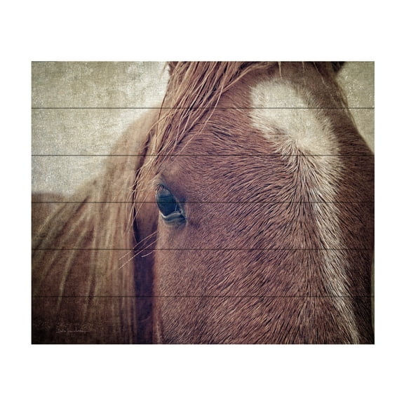 Debra Van Swearingen 'Dew Lashes' Wood Slat Art 18x22