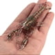 thumbnail image 5 of Cebos blandos Lixada 12cm / 19g Cangrejo de langosta suave Langosta de langosta Cebo Isca artificial Lixada Cebos blandos, 5 of 7