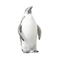 thumbnail image 3 of Estatua de pingüino para decoración del hogar, figura artística artesanal, escultura Animal creativa de cerámica para mesa, estantería, escritorio de Papá Argenta, 3 of 8