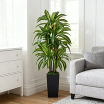 NOVAROOT Artificial Dracaena Tree 5FT, Faux Tree with Black Tall Planter, Fake Tropical Floor Plant, Artificial Silk Tree for Home Office Living Room Decor Indoor