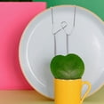 thumbnail image 1 of Luxshiny 4Ud Soportes De Invisibles Para Platos Decorativos Para Colgar En, 1 of 7