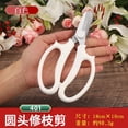 thumbnail image 1 of Tijeras florales Lin Tai Zuo - Tijeras profesionales para arreglos florales, tijeras de podar, cortadores de flores para uso doméstico, tijeras especiales para floristería 401 blancas a granel, 1 of 1