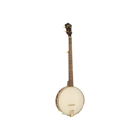 Recording King DIRTY 30's RKOH-05 - Banjo - acoustic - 5-string