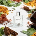 thumbnail image 5 of Stetson Spirit Cologne, Bold and Invigorating Fragrance for Men, 1.7 fl oz, 5 of 11