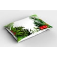 thumbnail image 2 of Ambesonne Leaf Pillow Sham 2 Pack, Hibiscus Anthurium Leaves, 26"x20", Hot Pink White, 2 of 3