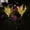 Yellow, variant on 2 Pack Solar Garden Light, Outdoor Lavender Garden Stake Lights Waterproof Solar Powered Decorative Landscape Lights for Patio Yard Backyard Walkway Lawn, Purple