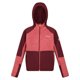 thumbnail image 1 of Regatta - Forro Polar Dissolver VII para Niños/Niñas (Rojo Mineral, Burdeos), 1 of 4