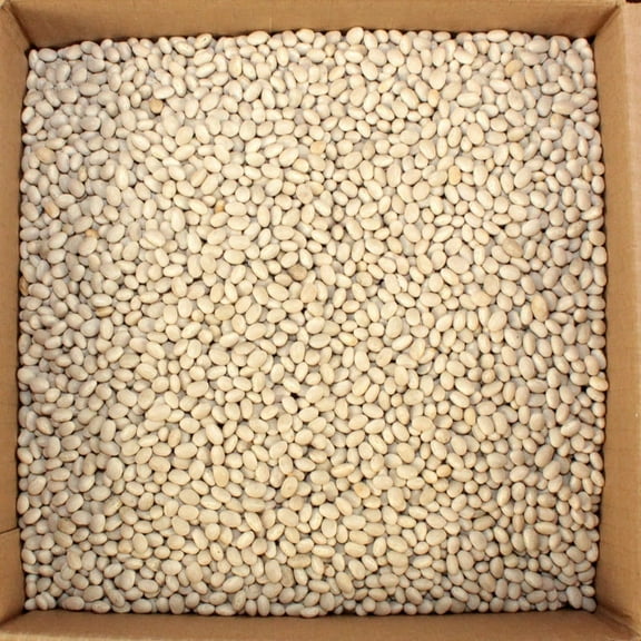 (Price/Pack)Commodity Navy Pea Beans 20 Pounds Per Pack - 1 Per Case