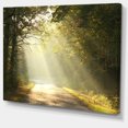 thumbnail image 2 of Bright Sunbeams to Fall Forest, 2 of 3