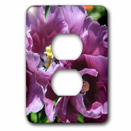 Design Public Outlet - 3dRose Lilac tulips blooming in the public garden. - 2 Plug Outlet Cover