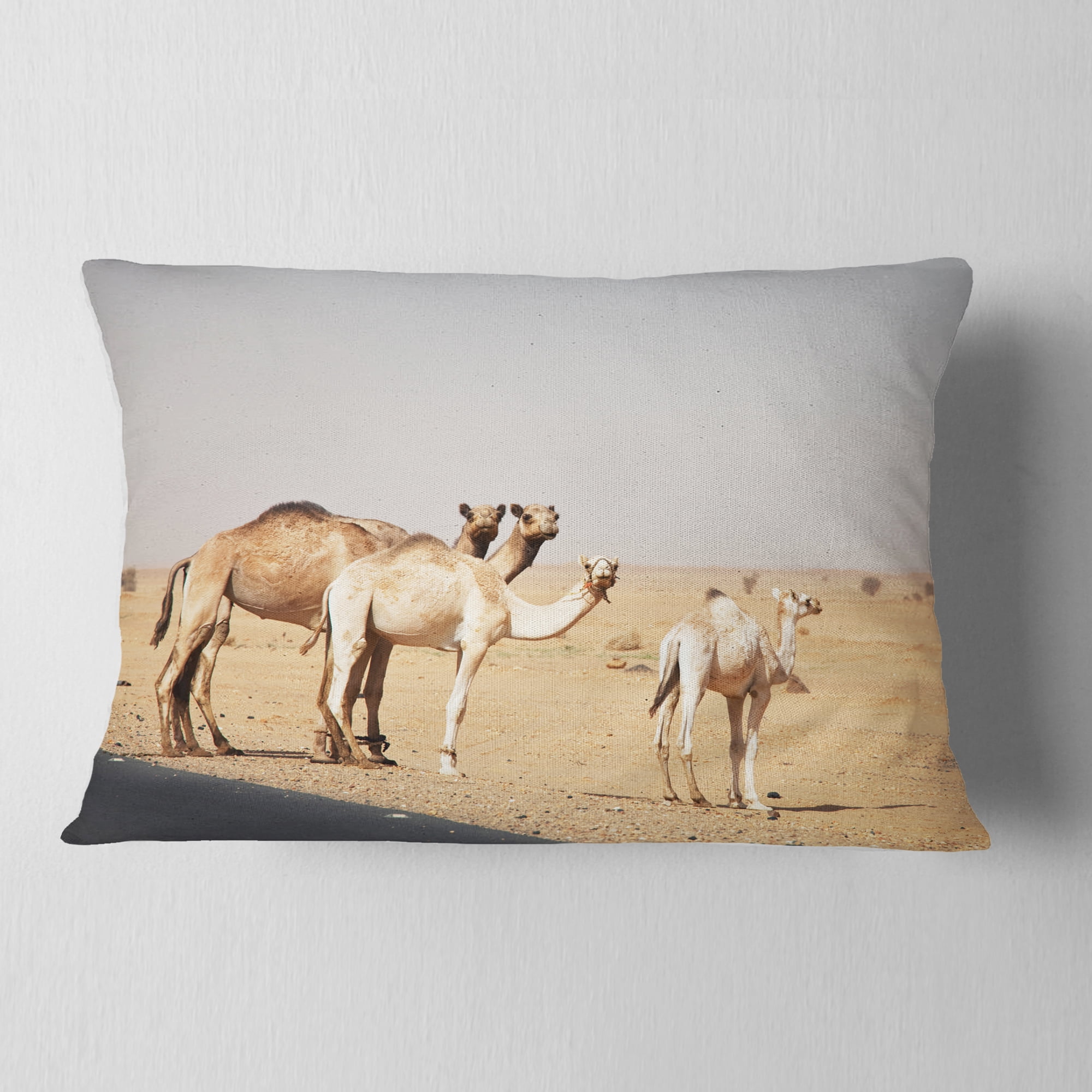Designart Camels in Sunny Sahara Desert - Animal Throw Pillow - 12x20