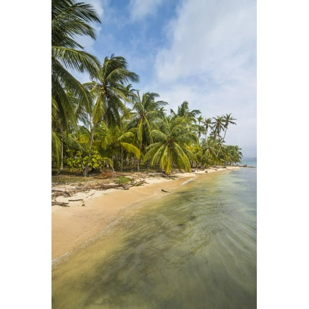 - Beautiful palm fringed beach, Achutupu, San Blas Islands, Kuna Yala, Panama, Central America Print Wall Art By Michael Runkel