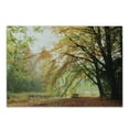 thumbnail image 1 of Forest Cutting Board, Autumn View in a Forest with Faded Color Leaves European Northern Dutch Fall Image, Decorative Tempered Glass Cutting and Serving Board, Small Size, Orange Green, by Ambesonne, 1 of 1