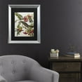 thumbnail image 3 of Trademark Fine Art 'Gray Tyrant Gray Kingbird' Canvas Art by John James Audubon, 3 of 4