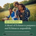thumbnail image 5 of Gaia Herbs Echinacea Supreme - Immune Support Supplement - Echinacea Purpurea & Angustifolia Blend to Support Immune System* - 60 Vegan Liquid Phyto-Caps (30 Servings), 5 of 9