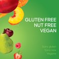 thumbnail image 4 of SunRype Snacks 100% Fruit and Veggie Bar Pack, 4 of 7