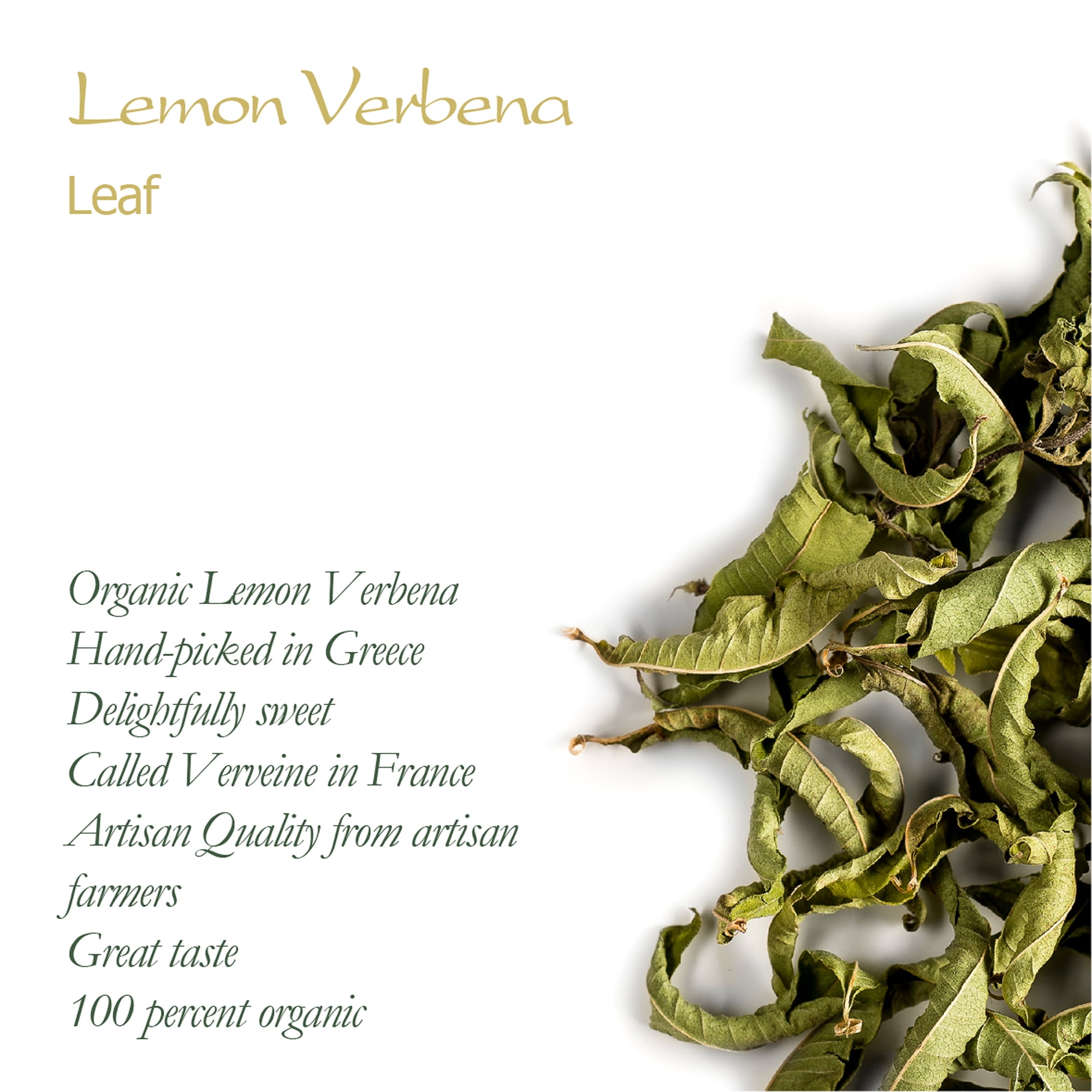 Lemon Verbena Benefits