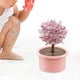 thumbnail image 4 of Novedad Crystal Tree Growing , Crystal Science Experiments Toy, Learning Educational Toy, Science s para pequeños Niñas Rojo Sunnimix Crecimiento de cristales, 4 of 8