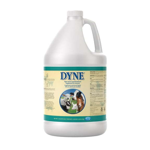 Pet-Ag Dyne High Calorie Liquid Nutritional Supplement for Livestock - 1 Gallon