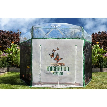 - Frame It All One Inch Series 8 ft. x 7 ft. Pro Butterfly Learning Center