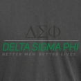 thumbnail image 3 of CafePress - Delta Sigma Phi Color Stacked Logo T Shirt - Mens Comfort Colors Shirt, 3 of 5