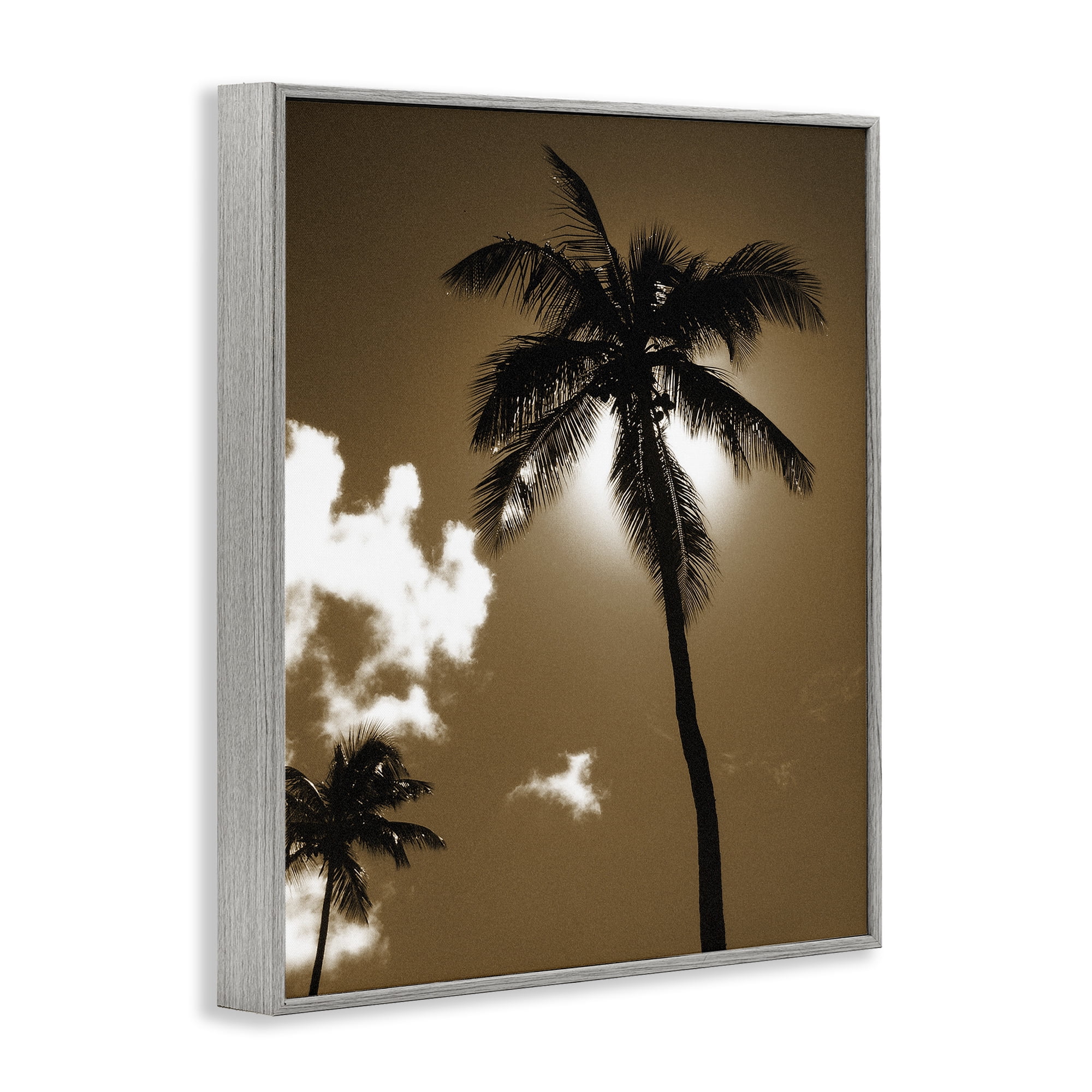 Stupell Industries Sunlight Through Palms Landscape Photography Gray Framed Art Print Wall Art, 24 x 30