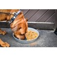 Bergan 3-Quart Galvanized Pet Feeder