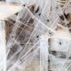 thumbnail image 1 of Halloween Decoration Spider Web 700 Square Feet 100G with 20 Spiders, Halloween Horror Decoration, Halloween Party Decoration for DIY Indoor Table, Wi, 1 of 5