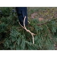 thumbnail image 2 of Dalen 100% Natural Jute Twine, 200 ft Roll, 2 of 2
