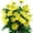 Yellow, variant on 4PCS Artificial Silk Daisy Flower Bouquet for Home Table Centerpieces Arrangement Decoration