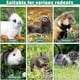 thumbnail image 2 of Heated Water Bottle, 32 Oz for Rabbits, Hamster, Guinea Pigs, 2 of 5