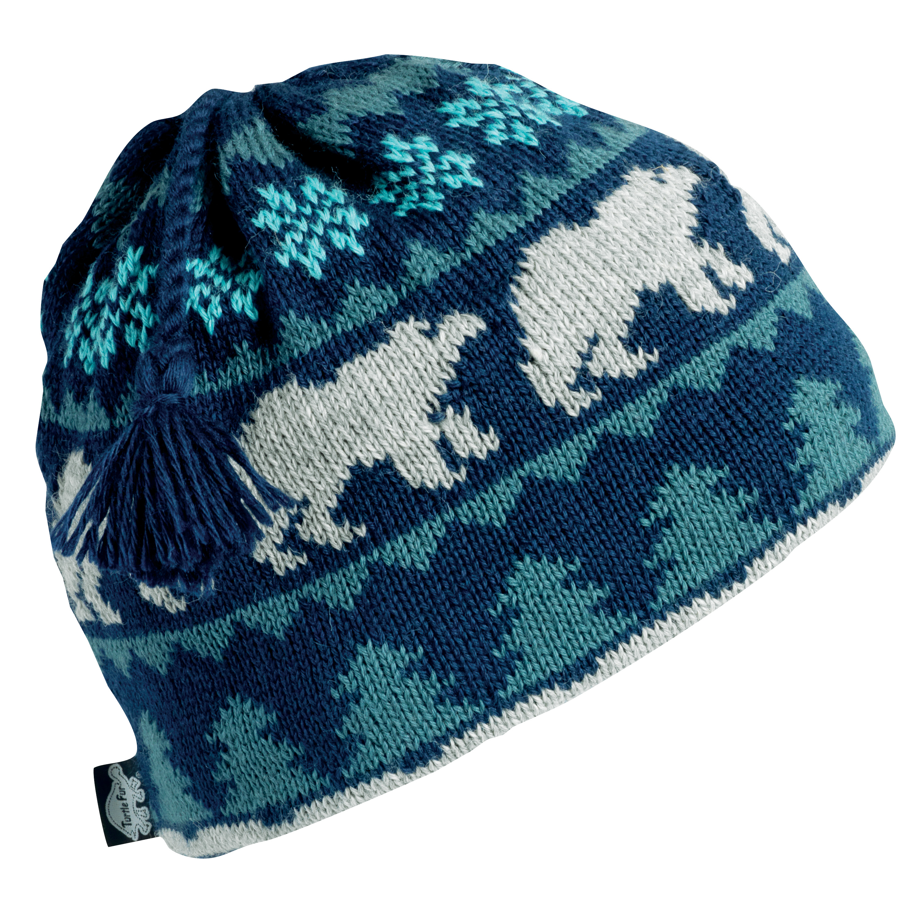 turtle ski hat