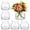 Clear-Round, variant on 6 Pack Clear Wide Mouth Mason Jar Vases with Twine, Vintage Farmhouse Rustic Glass Flower Centerpiece Jars for Wedding, Baby Shower, Party Table Decor & Home Floral Arrangement