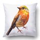 thumbnail image 1 of Funda de almohada ABPHQTO 50x50 cm Diseño de Pájaros, 1 of 1