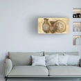 thumbnail image 2 of Trademark Fine Art 'Woven Vessels II Crop' Canvas Art by Albena Hristova, 2 of 4