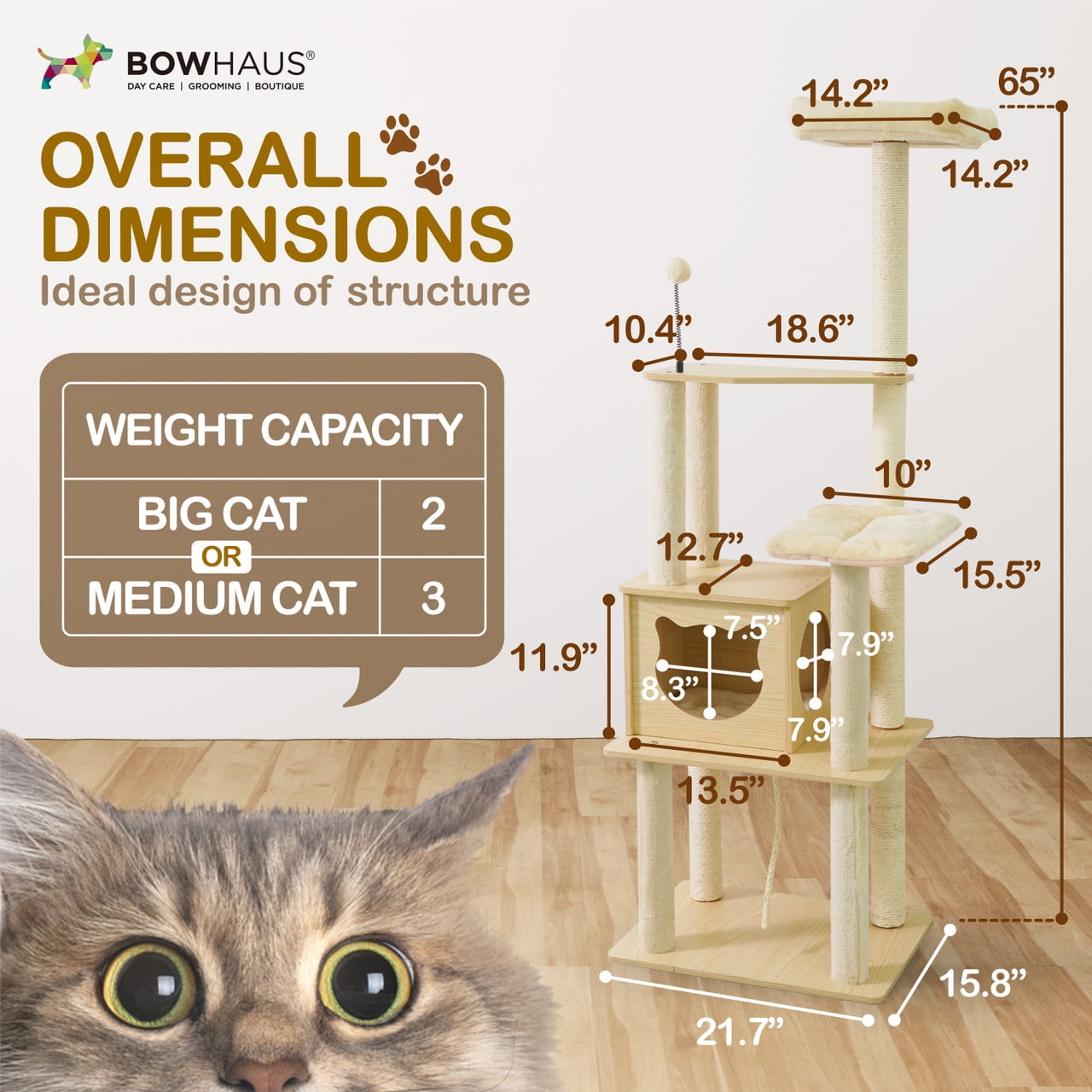 CAPHAUS 65-inch Multi-level Cat Tree with Cat Cave Condo & Top Perch, Tall Wooden Cat Tower for Indoor Cats with Scratching Posts, Detachable Cushion, Interactive Balls, Top Perch