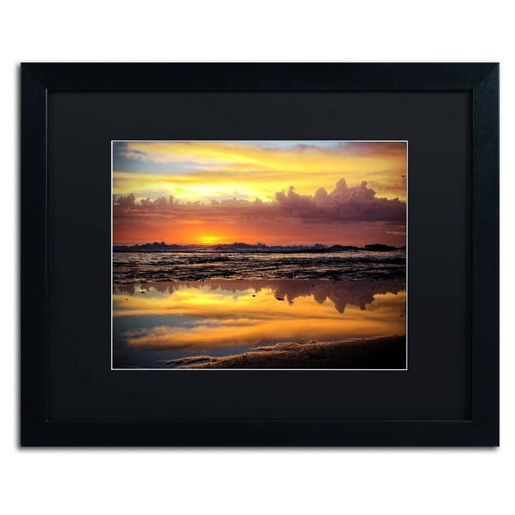 Trademark Fine Art "Morning Reflections" Canvas Art by Beata Czyzowska Young, Black Matte, Black Frame