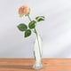 thumbnail image 4 of Botella de vidrio en forma de peces Botella de cristal delicada Botella de flores decorativas, 4 of 8