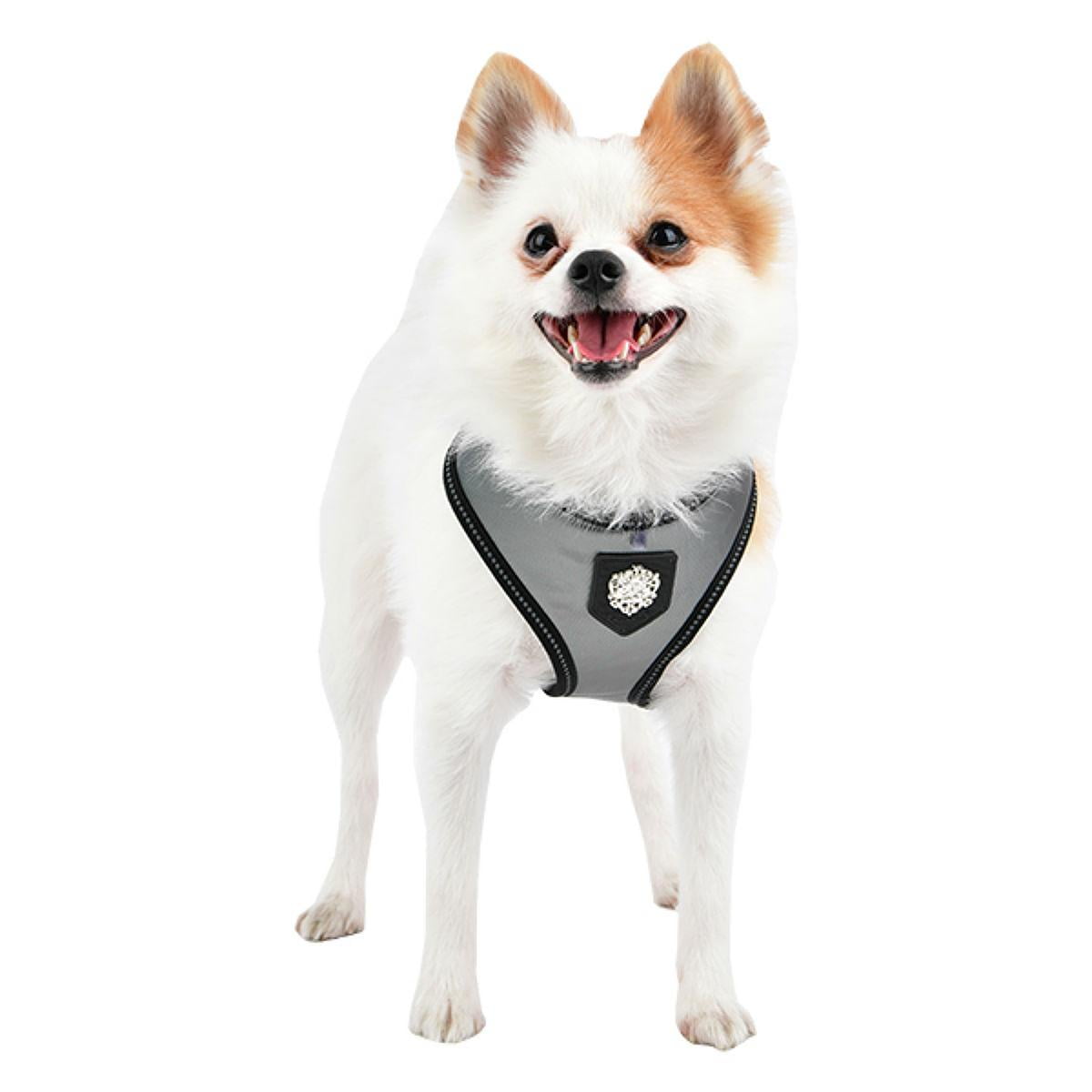 puppia life smart tag