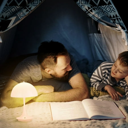 

Herrklp Lamp Modern Design Of Desk Lamp Small Night Lamp Bedroom Charging High-end Bedside Desk Lamp