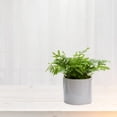 thumbnail image 3 of 2 Panels Window Sheer Curtains ,Basic Rod Pocket Sheer Curtains for Bedroom Children Living Room Yard Kitchen ,52"×96" ,White, 3 of 8