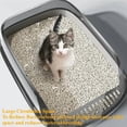 thumbnail image 6 of Semi-Enclosed Cat Litter Box Splashproof Kitten Toilet Tray Pet Cleaning Basin with High Sides for Indoor Use, 6 of 9