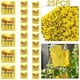 thumbnail image 5 of Fly Trap Desechable Sticky Fly Paper Control Plagas Fly Catcher (sin Chincheta), 5 of 6