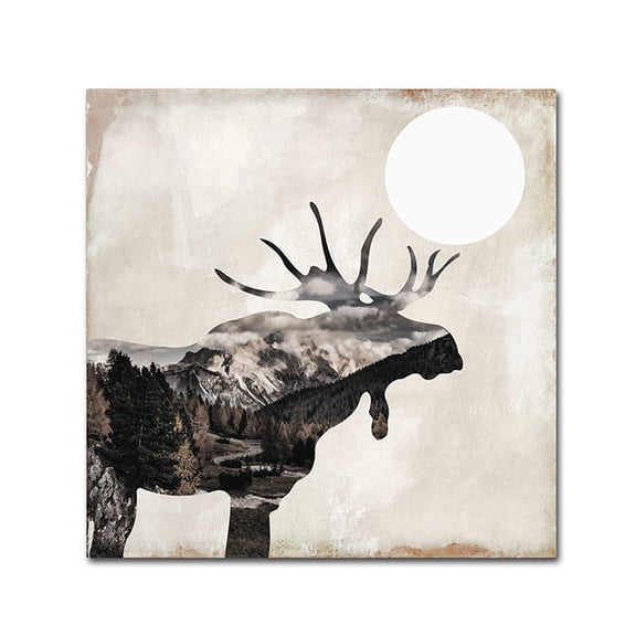 Trademark Fine Art "Going Wild V" Canvas Art by Color Bakery